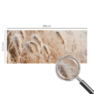 Flizelininis fototapetas Žiemos šalis