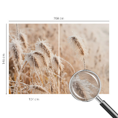 Flizelininis fototapetas Žiemos šalis