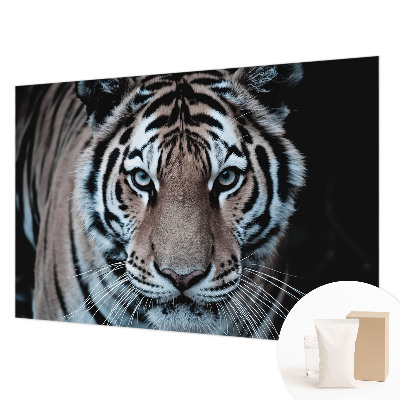 Sienų danga fototapetas Tigro portretas