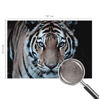 Sienų danga fototapetas Tigro portretas