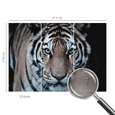 Sienų danga fototapetas Tigro portretas