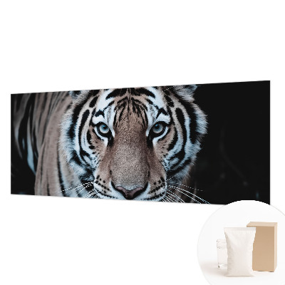 Sienų danga fototapetas Tigro portretas