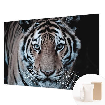 Sienų danga fototapetas Tigro portretas
