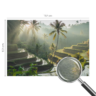 Fototapetas flizelino pagrindu su motyvu „Paradisterrasser“