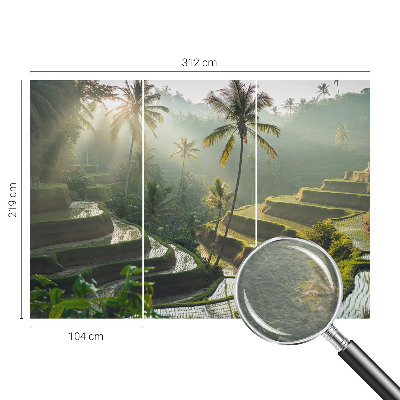 Fototapetas flizelino pagrindu Paradisterrasser