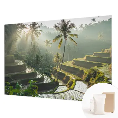 Fototapetas flizelino pagrindu su motyvu „Paradisterrasser“