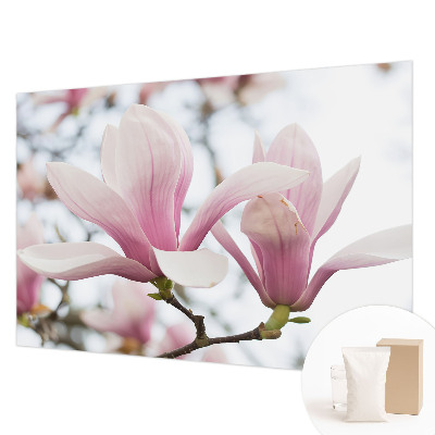 Stilingas fototapetas su Magnoliabloomster motyvu