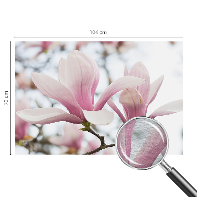 Stilingas fototapetas Magnoliabloomster