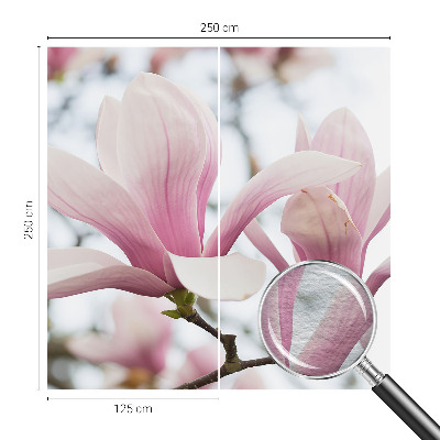 Stilingas fototapetas su Magnoliabloomster motyvu