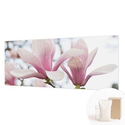Stilingas fototapetas su Magnoliabloomster motyvu
