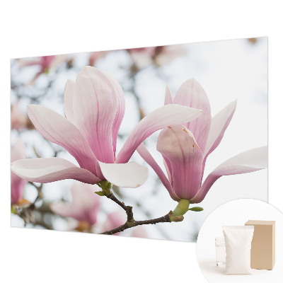 Stilingas fototapetas su Magnoliabloomster motyvu