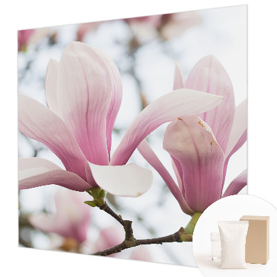 Stilingas fototapetas su Magnoliabloomster motyvu