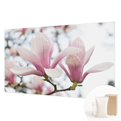Stilingas fototapetas su Magnoliabloomster motyvu