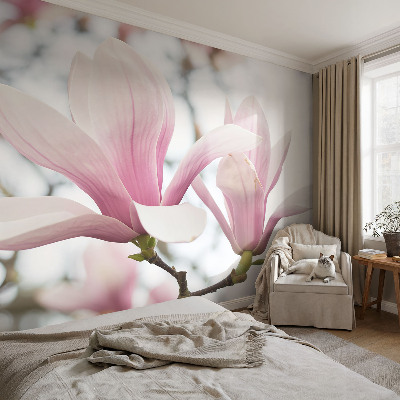 Stilingas fototapetas Magnoliabloomster