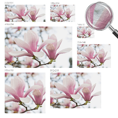 Stilingas fototapetas Magnoliabloomster