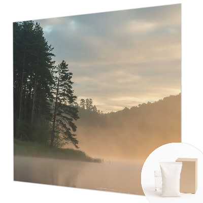 Dekoratyvinis fototapetas Tåget morgen