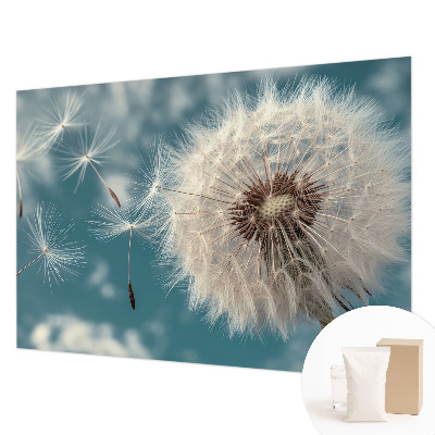 Fototapetas pagal matmenis En let æteriskhed