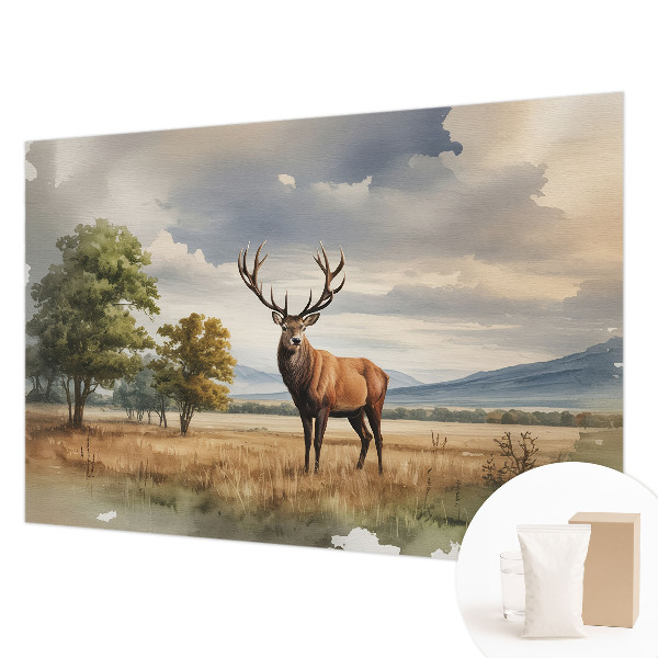 Tapetas Didysis jūrinis parkas