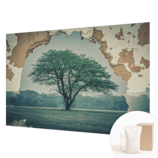 Fototapetas pagal matmenis Et ensomt træ