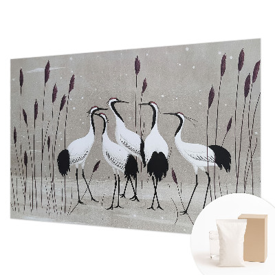 Aukštos kokybės fototapetas En flok traner