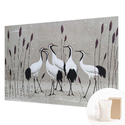 Aukštos kokybės fototapetas En flok traner