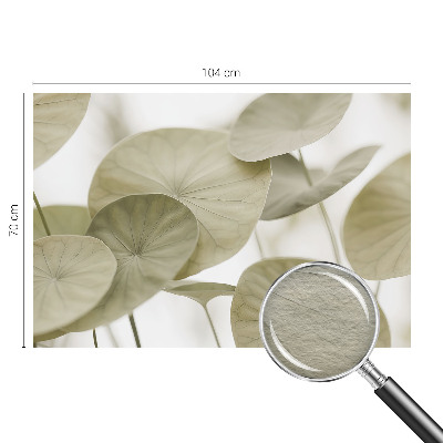 Fototapetas flizelino pagrindu Natūralus elegancija