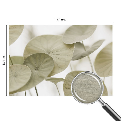 Fototapetas flizelino pagrindu Natūralus elegancija