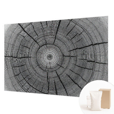 Flizelininis fototapetas Skovharmoni