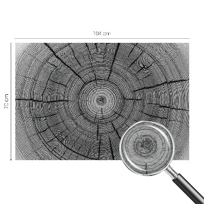 Flizelininis fototapetas Skovharmoni