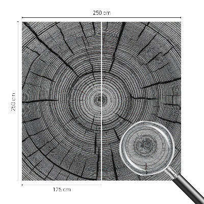 Flizelininis fototapetas Skovharmoni