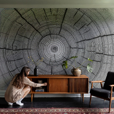 Flizelininis fototapetas Skovharmoni