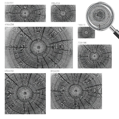 Flizelininis fototapetas Skovharmoni
