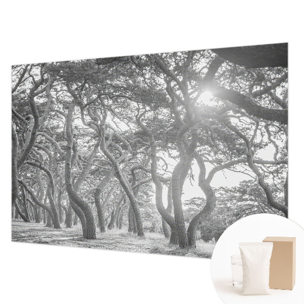 Tapetas Atmosferos rizikos slovas