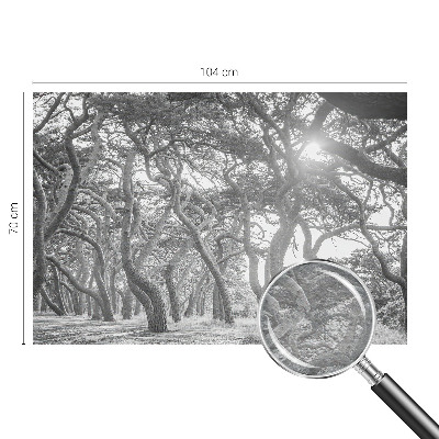 Tapetas Atmosferos rizikos slovas