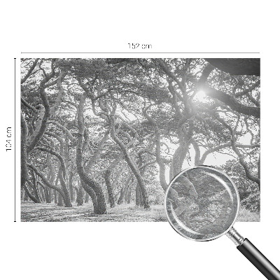 Tapetas Atmosferos rizikos slovas