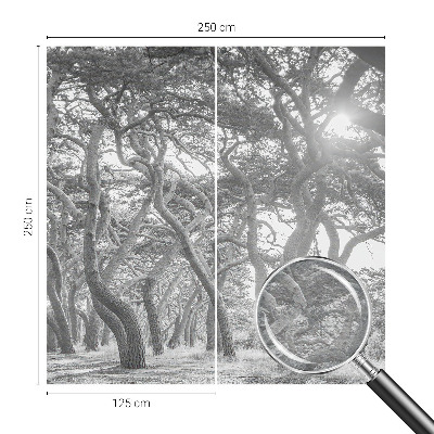 Tapetas Atmosferos rizikos slovas