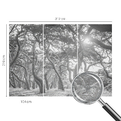 Tapetas Atmosferos rizikos slovas