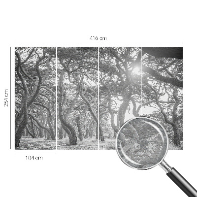 Tapetas Atmosferos rizikos slovas