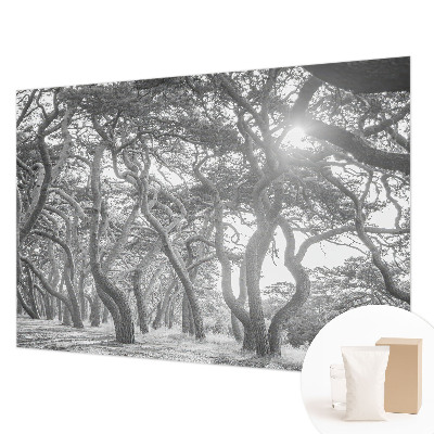 Tapetas Atmosferos rizikos slovas