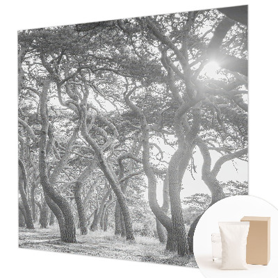 Tapetas Atmosferos rizikos slovas