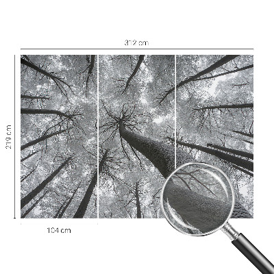 Fototapetas ant sienos Žiemos šalis