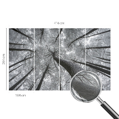 Fototapetas ant sienos Žiemos šalis