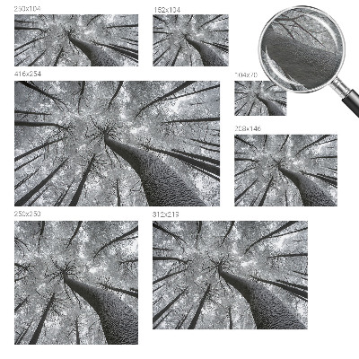 Fototapetas ant sienos Žiemos šalis