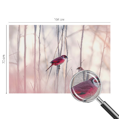 Fototapetas ant sienos Fugleparas