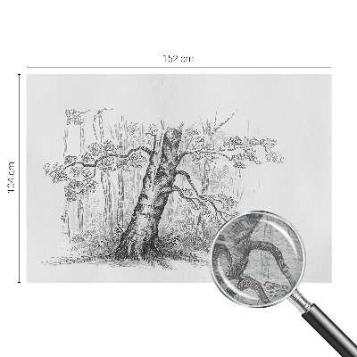 Fototapetas svetainei Skovtræe