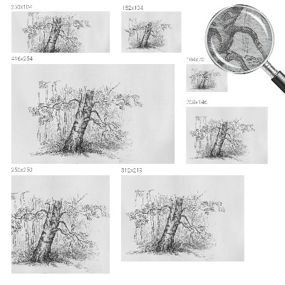 Fototapetas svetainei Skovtræe