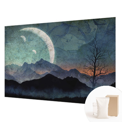 Plaunamas flizelininis fototapetas Natlandskab