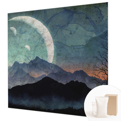 Plaunamas flizelininis fototapetas Natlandskab