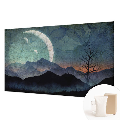 Plaunamas flizelininis fototapetas Natlandskab