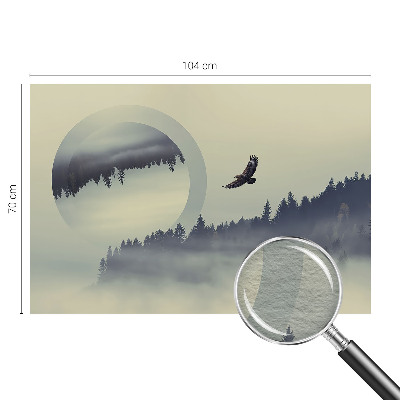 Fototapetas pagal matmenis Skovlandskabas